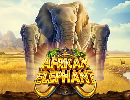 African ElephantÔäó